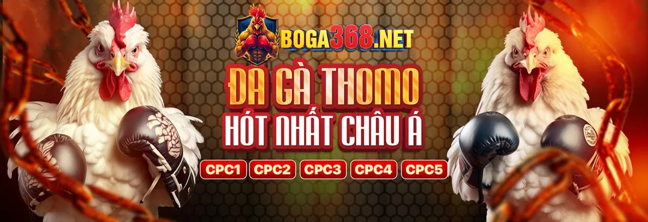 Liên hệ bộ phận hỗ trợ của trang chủ 88aa